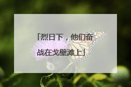 烈日下，他们奋战在戈壁滩上