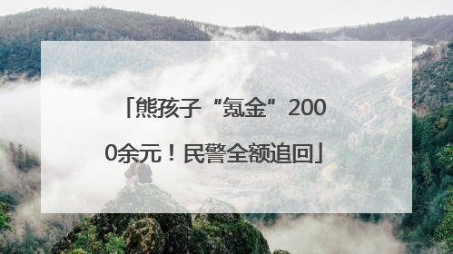 熊孩子“氪金”2000余元！民警全额追回