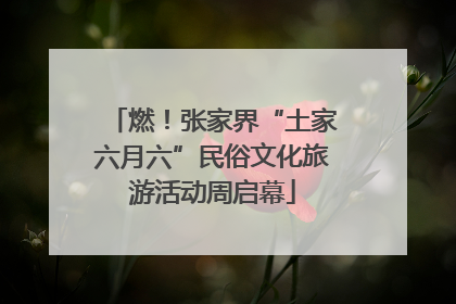 燃！张家界“土家六月六”民俗文化旅游活动周启幕