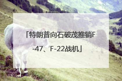 特朗普向石破茂推销F-47、F-22战机