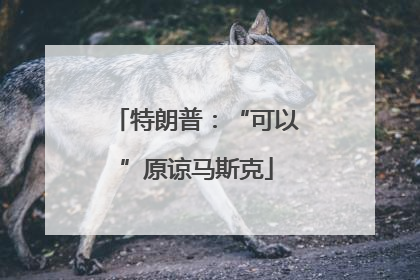 特朗普：“可以”原谅马斯克