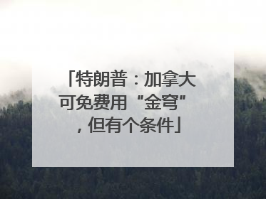 特朗普：加拿大可免费用“金穹”，但有个条件