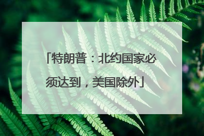 特朗普：北约国家必须达到，美国除外