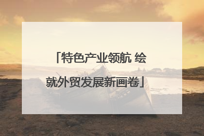 特色产业领航 绘就外贸发展新画卷