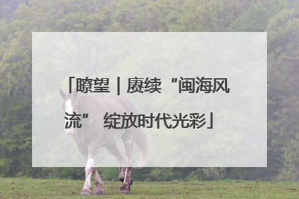 瞭望｜赓续“闽海风流” 绽放时代光彩