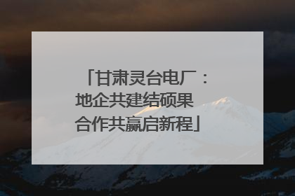 甘肃灵台电厂：地企共建结硕果 合作共赢启新程