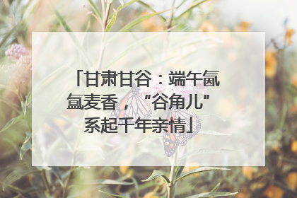 甘肃甘谷：端午氤氲麦香，“谷角儿”系起千年亲情