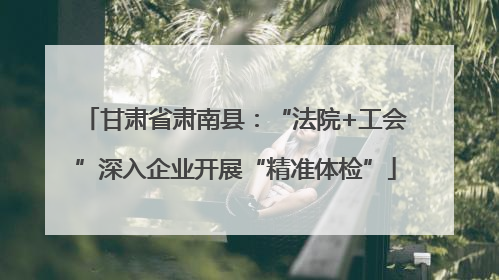 甘肃省肃南县：“法院+工会”深入企业开展“精准体检”
