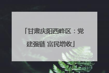 甘肃庆阳西峰区：党建强链 富民增收