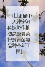 甘肃榆中—天津宁河科技协作推动高原夏菜智慧育苗与品种革新工程