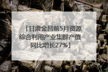 甘肃金昌前5月资源综合利用产业集群产值同比增长27%