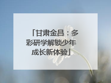 甘肃金昌：多彩研学解锁少年成长新体验