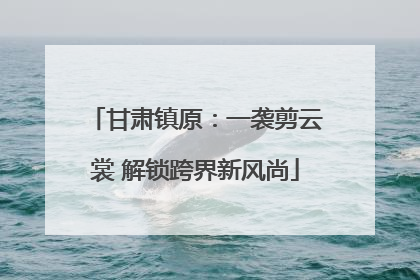 甘肃镇原：一袭剪云裳 解锁跨界新风尚