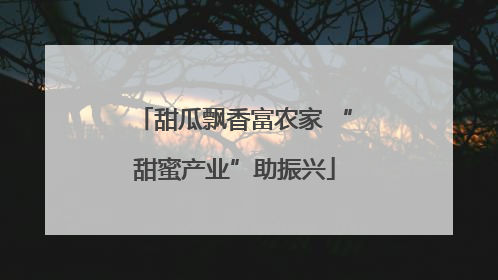 甜瓜飘香富农家 “甜蜜产业”助振兴