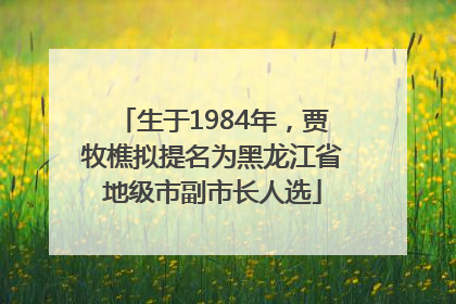生于1984年，贾牧樵拟提名为黑龙江省地级市副市长人选