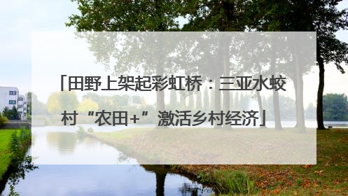 田野上架起彩虹桥：三亚水蛟村“农田+”激活乡村经济