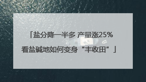 盐分降一半多 产量涨25% 看盐碱地如何变身“丰收田”