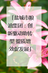 盐城市粮油集团：创新驱动助转型 提质增效促发展
