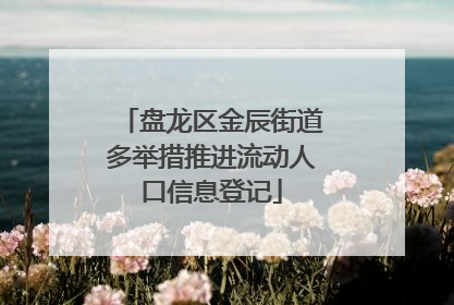 盘龙区金辰街道多举措推进流动人口信息登记