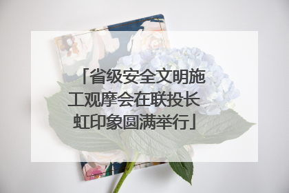 省级安全文明施工观摩会在联投长虹印象圆满举行
