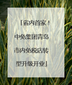省内首家！中免集团青岛市内免税店转型升级开业