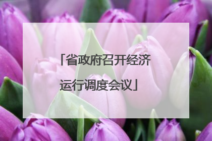 省政府召开经济运行调度会议