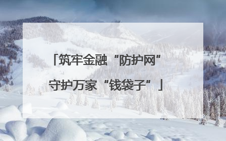 筑牢金融“防护网” 守护万家“钱袋子”