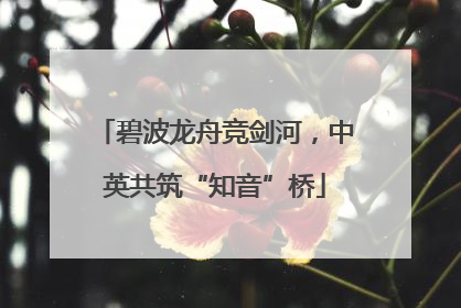 碧波龙舟竞剑河，中英共筑“知音”桥