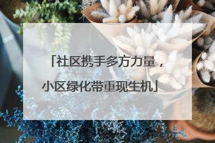 社区携手多方力量，小区绿化带重现生机