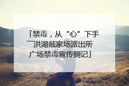 禁毒，从“心”下手――洪湖戴家场派出所广场禁毒宣传侧记
