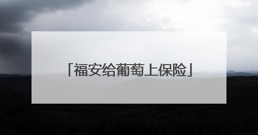 福安给葡萄上保险