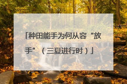 种田能手为何从容“放手”（三夏进行时）