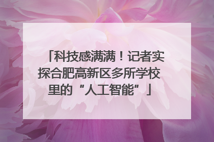 科技感满满！记者实探合肥高新区多所学校里的“人工智能”
