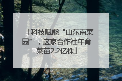 科技赋能“山东南菜园”，这家合作社年育菜苗2.2亿株