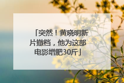 突然！黄晓明新片撤档，他为这部电影增肥30斤