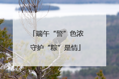 端午“警”色浓 守护“粽”是情