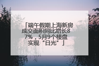 端午假期上海新房成交面积同比增长87%，5月9个楼盘实现“日光”