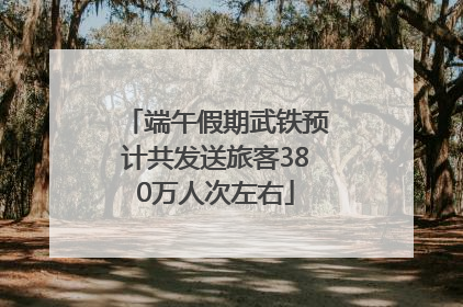 端午假期武铁预计共发送旅客380万人次左右
