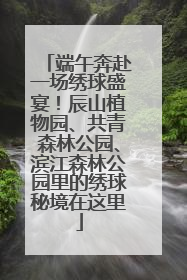 端午奔赴一场绣球盛宴！辰山植物园、共青森林公园、滨江森林公园里的绣球秘境在这里