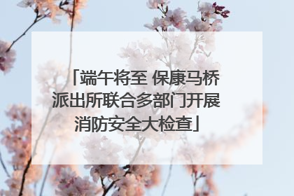 端午将至 保康马桥派出所联合多部门开展消防安全大检查