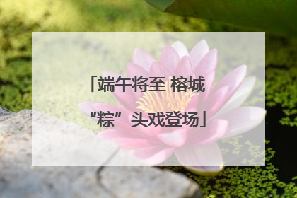 端午将至 榕城“粽”头戏登场