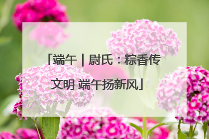 端午｜尉氏：粽香传文明 端午扬新风