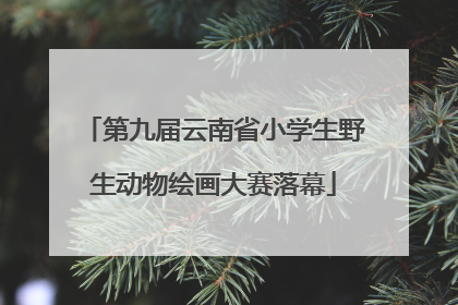 第九届云南省小学生野生动物绘画大赛落幕