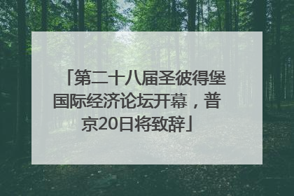 第二十八届圣彼得堡国际经济论坛开幕，普京20日将致辞