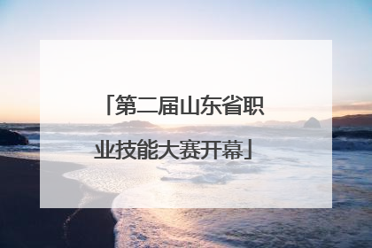 第二届山东省职业技能大赛开幕