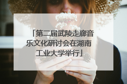 第二届武陵走廊音乐文化研讨会在湖南工业大学举行