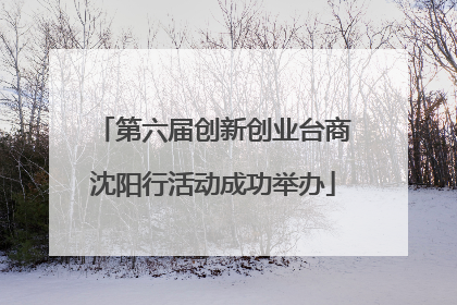 第六届创新创业台商沈阳行活动成功举办