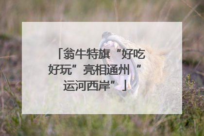 翁牛特旗“好吃好玩”亮相通州“运河西岸”