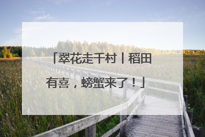 翠花走千村丨稻田有喜，螃蟹来了！