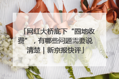网红大桥底下“圈地收费”，有哪些问题需要说清楚｜新京报快评